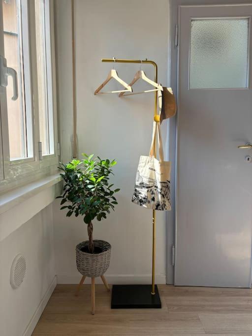 Apartment Casatania Corso
